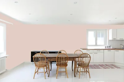 dining-room color combination