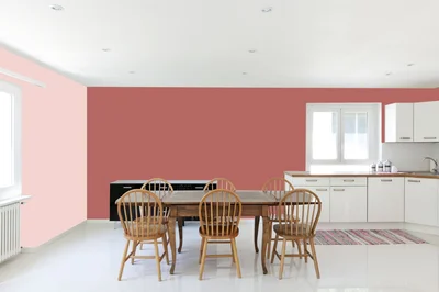 dining-room color combination