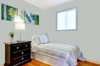 guest-bedroom color combination