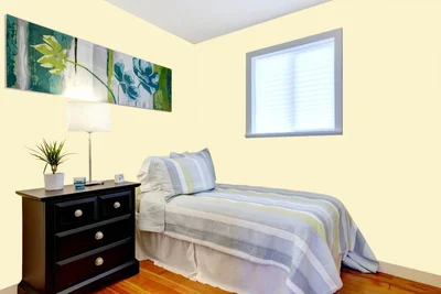 guest-bedroom color combination