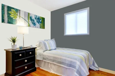 guest-bedroom color combination