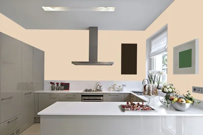 kitchen color combination