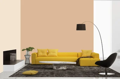 living-room color combination