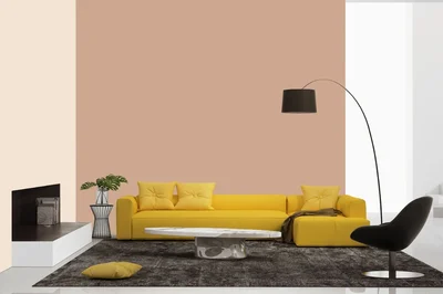 living-room color combination