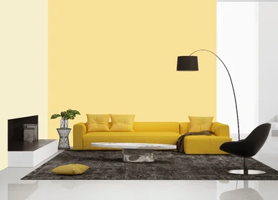 living-room color combination