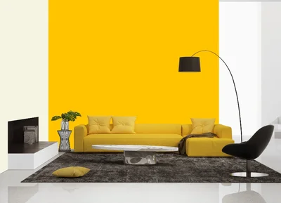 living-room color combination