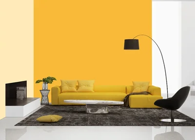 living-room color combination