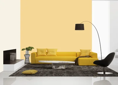 living-room color combination