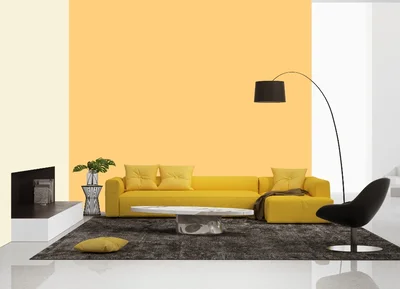 living-room color combination