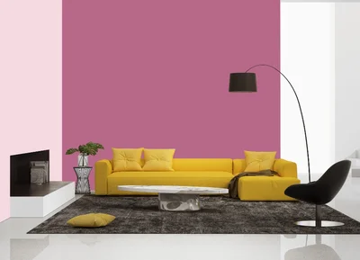 living-room color combination