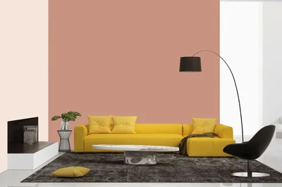 living-room color combination