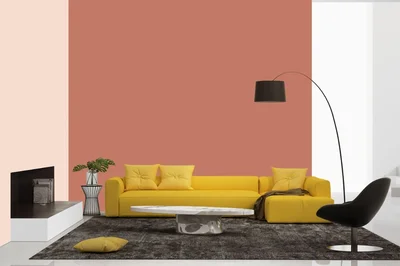 living-room color combination