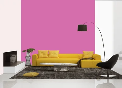 living-room color combination