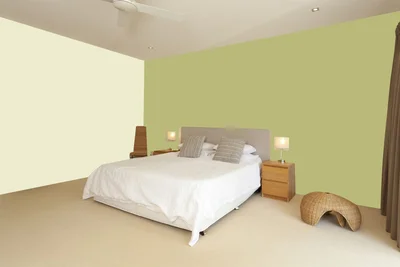 master-bedroom color combination